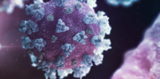 Lo que hay que saber sobre las variantes, cepas y linajes de la covid19