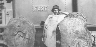 La Forestal, dignidad y conciencia del presente