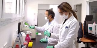 Una cooperativa producirá el primer test rápido para detectar el coronavirus