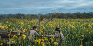 Cine Migrante: el corto argentino que va a los Oscar