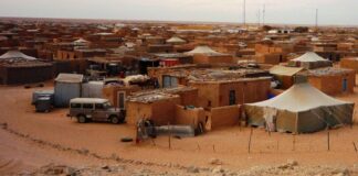 Sahara Occidental: la lucha de un pueblo desterrado y perseguido