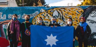 Qué es el terricidio y qué proponen las mujeres indígenas con una histórica caminata Terricidio