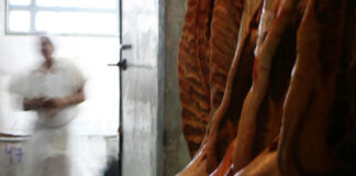 Argentina suspende la exportación de carne: ¿Qué efecto busca el gobierno?