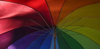 Mes del orgullo. Historia de revueltas, presente de desafíos orgullo