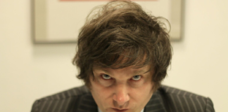 Javier Milei: un economista libertario en tiempos de redes