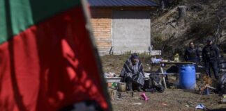 La letra chica del conflicto mapuche por tierras del Cerro Otto mapuche cerro otto