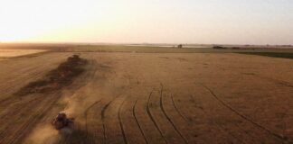 ¿Reforma agraria en Argentina? Un plan para repartir la tierra reforma agraria Argentina