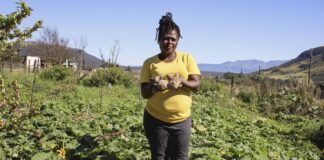 Sudáfrica: la comunidad en el centro de la lucha contra el hambre sudáfrica hambre