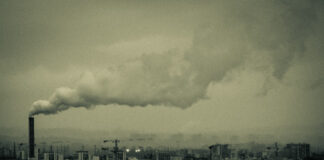 Informe ONU: los puntos principales de la crisis climática informe ONU crisis climática