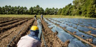 Recuperar la agenda de los más postergados tierra techo trabajo
