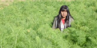 Soy mujer, campesina e indígena mujer indígena rural