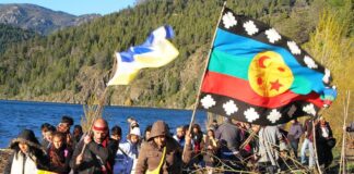 Nacidos y criados en la comunidad mapuche mapuche argentina
