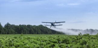 La poderosa empresa detrás de la lluvia de agrotóxicos en Chaco chaco agrotóxicos