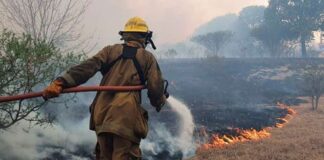 Todo se quema: la impotencia que sacude al sur cada verano