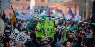 “Politizar el ambiente, ambientalizar la política”: un libro para el debate actual