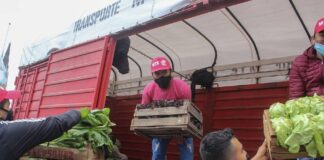 Empresa Estatal de Alimentos: el rol de los pequeños productores para bajar los precios