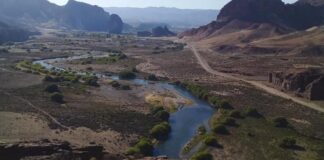 Qué tiene que ver el mundial de Qatar con el despojo de las comunidades mapuches