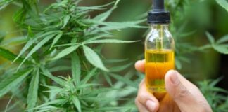 Qué es el REPROCANN, para qué sirve y cuál es su situación en el país A un año del REPROCANN: los desafíos para garantizar los derechos para el uso del cannabis medicinal