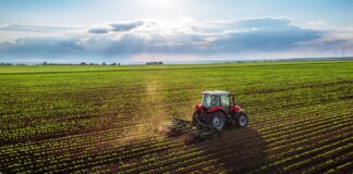 Efecto Ucrania: El gobierno argentino cierra la exportación y aumentaría las retenciones