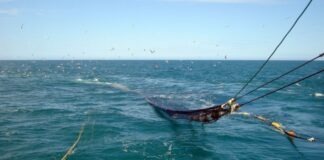 Argentina podría crear una nueva Área Marina Protegida en la zona del Agujero Azul
