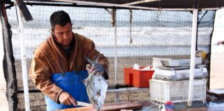 Recuperar el mar ¿Qué relación tiene Malvinas con la pesca?