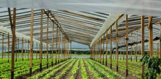 El campo que produce alimentos necesita su ley