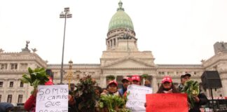 Inmensa movilización al Congreso para exigir leyes para pequeños productores