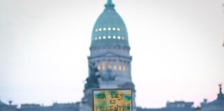 Por qué el Congreso volvió a cajonear la Ley de Humedales