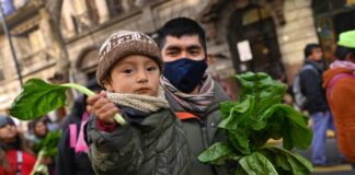 ¿Cuál debería ser la agenda de los progresismos que vienen?