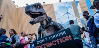 COP 27: los intereses geopolíticos, primero