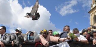 Ambiente y paz, dos ejes centrales en el gobierno de Petro