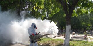 Hacinamiento y crisis climática: las claves del crecimiento del dengue