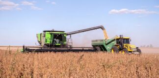 Sequía, dólar agro, especulación y el campo que llora