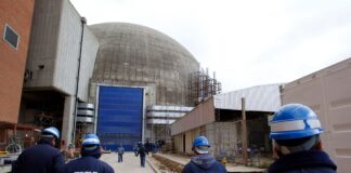 Energía nuclear argentina: diamante en bruto disputado por EEUU y China