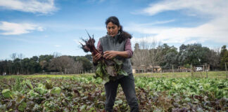 En el mundo y en Argentina crece el cooperativismo
