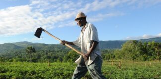 El ambiente y la agricultura haitiana ante la crisis climática