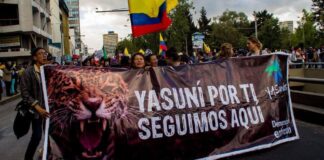 Ecuador decide sobre la explotaci贸n petrolera en reserva ambiental