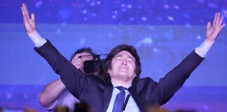 Rugió el León: Milei el candidato más votado en varias provincias