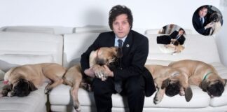 Milei se mudó a un country tras denunciar que Juntos le quiere “quitar a sus perros”