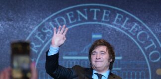 Milei, balotaje y después