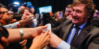 Tres economistas analizan cómo será el gobierno de Milei (y de Macri)