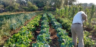 El ajuste golpeará a los pequeños productores, pero beneficiará a los agroexportadores