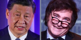 Milei no rompe relaciones, pero los vínculos entre China y Argentina empiezan a mostrar fisuras en las primeras semanas de gobierno