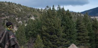 Ex combatientes lograron dejar sin efecto el artículo del DNU que deroga la Ley de Tierras