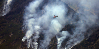 Pese al incendio en Los Alerces, Milei no retrocede y pide eliminar la Ley de Bosques