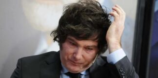 Cae la imagen de Milei a solo semanas de su asunción