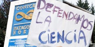 Cómo el ajuste de Milei está golpeando de muerte al Conicet