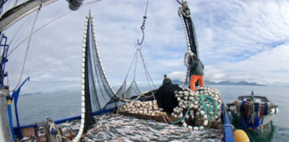 Patagonia Rebelde: gobernadores del sur se plantan contra la Ley Ómnibus