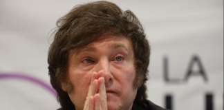 Milei y el dilema de aliarse con Macri: mayor estabilidad pero con menos poder