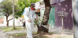 Kreplak: “Estamos ante la epidemia de dengue más grande de la historia”